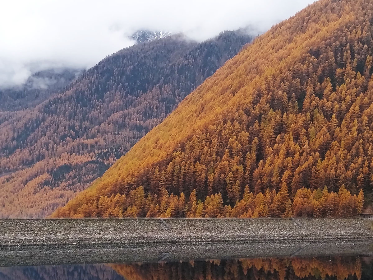 Bergsee mit bewaldetem Berg der sich im Wasser spiegelt