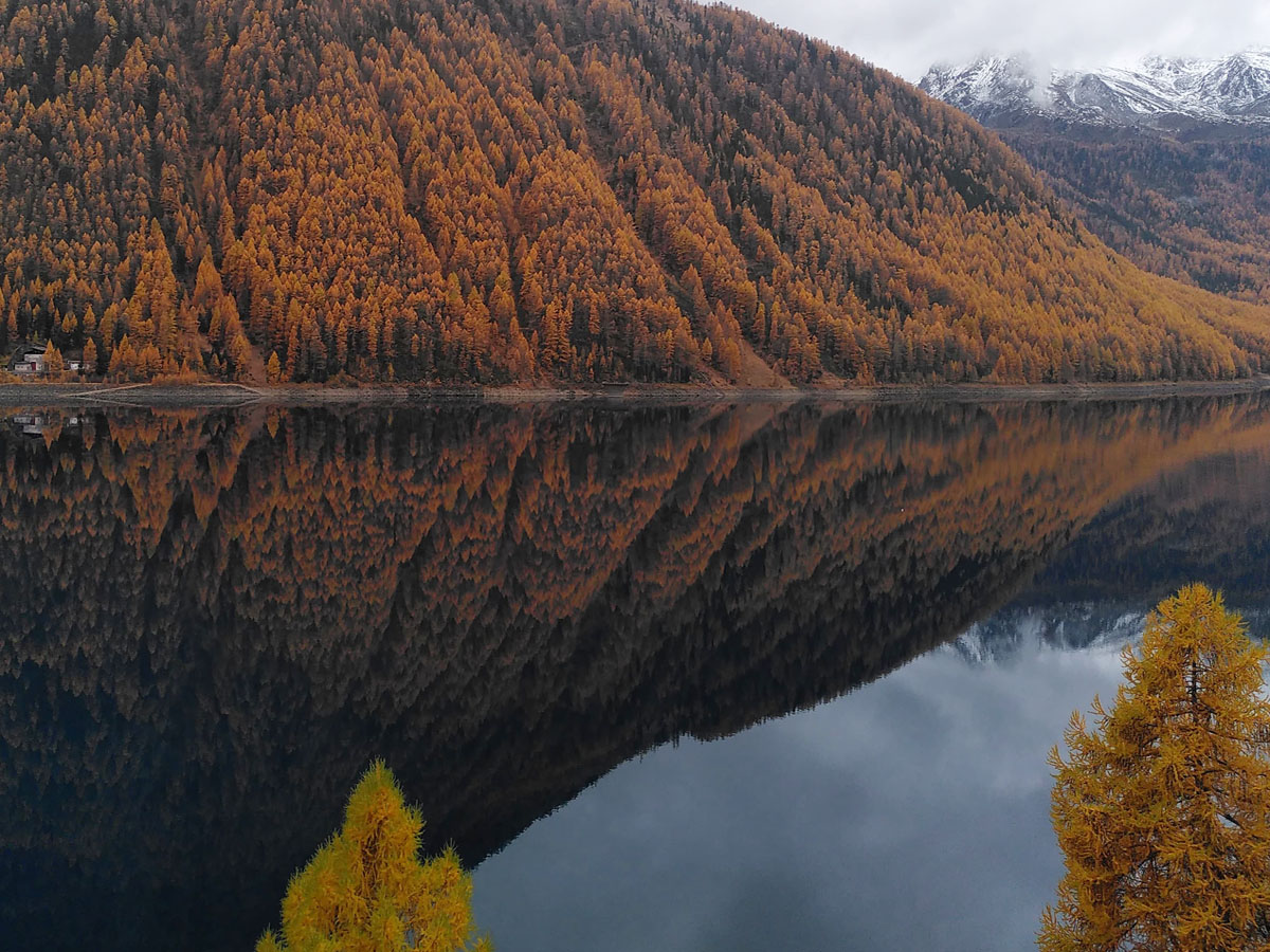 Bergsee mit bewaldetem Berg der sich im Wasser spiegelt, im Vordergrund Baum mit gelben Blättern