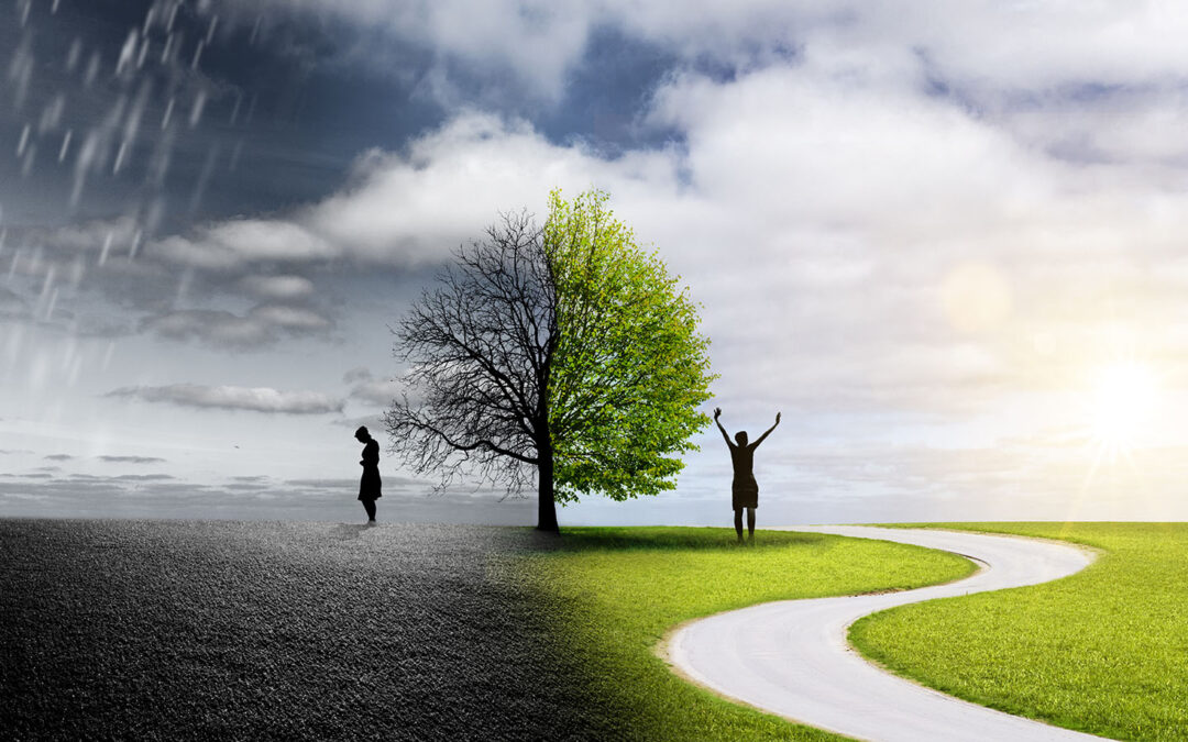 Symbolbild: trauriger vs. glücklicher Mensch, dargestellt durch kahlen Baum im Regen und grünen Baum mit sonnigem Weg