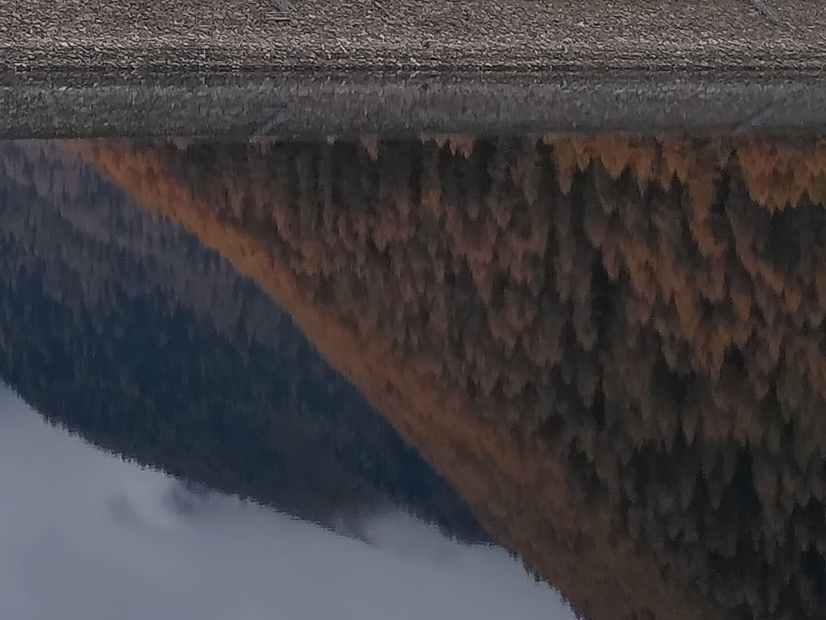 Bergsee mit bewaldetem Berg der sich im Wasser spiegelt, im Vord
