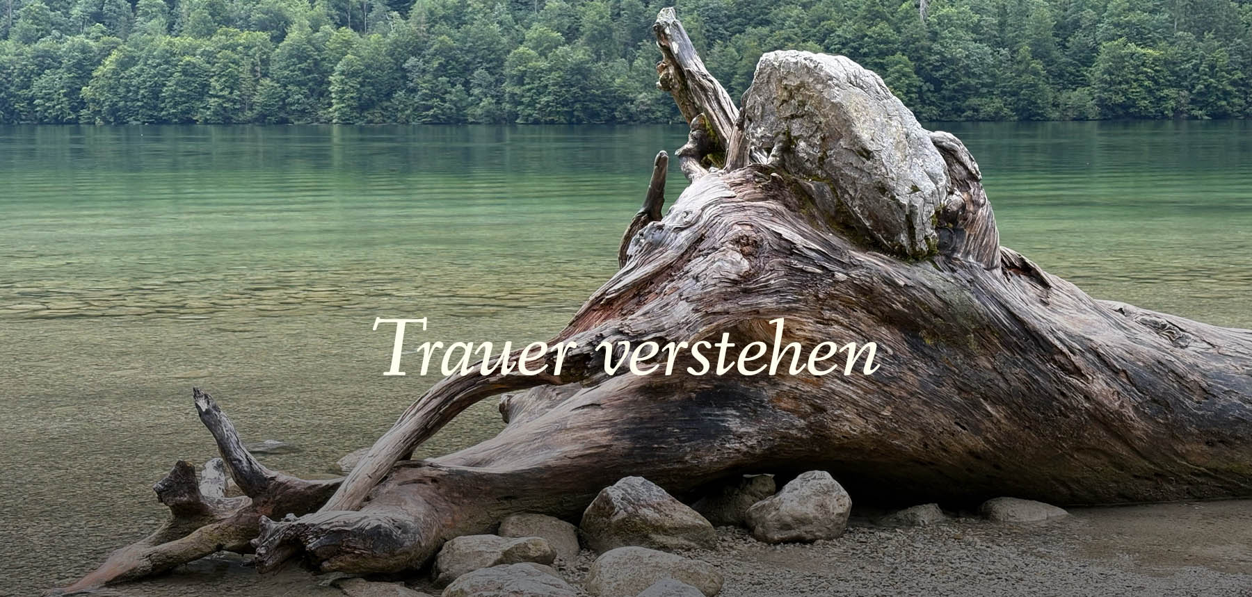 Trauer verstehen – See mit großem gestrandetem Baumstamm am Ufer