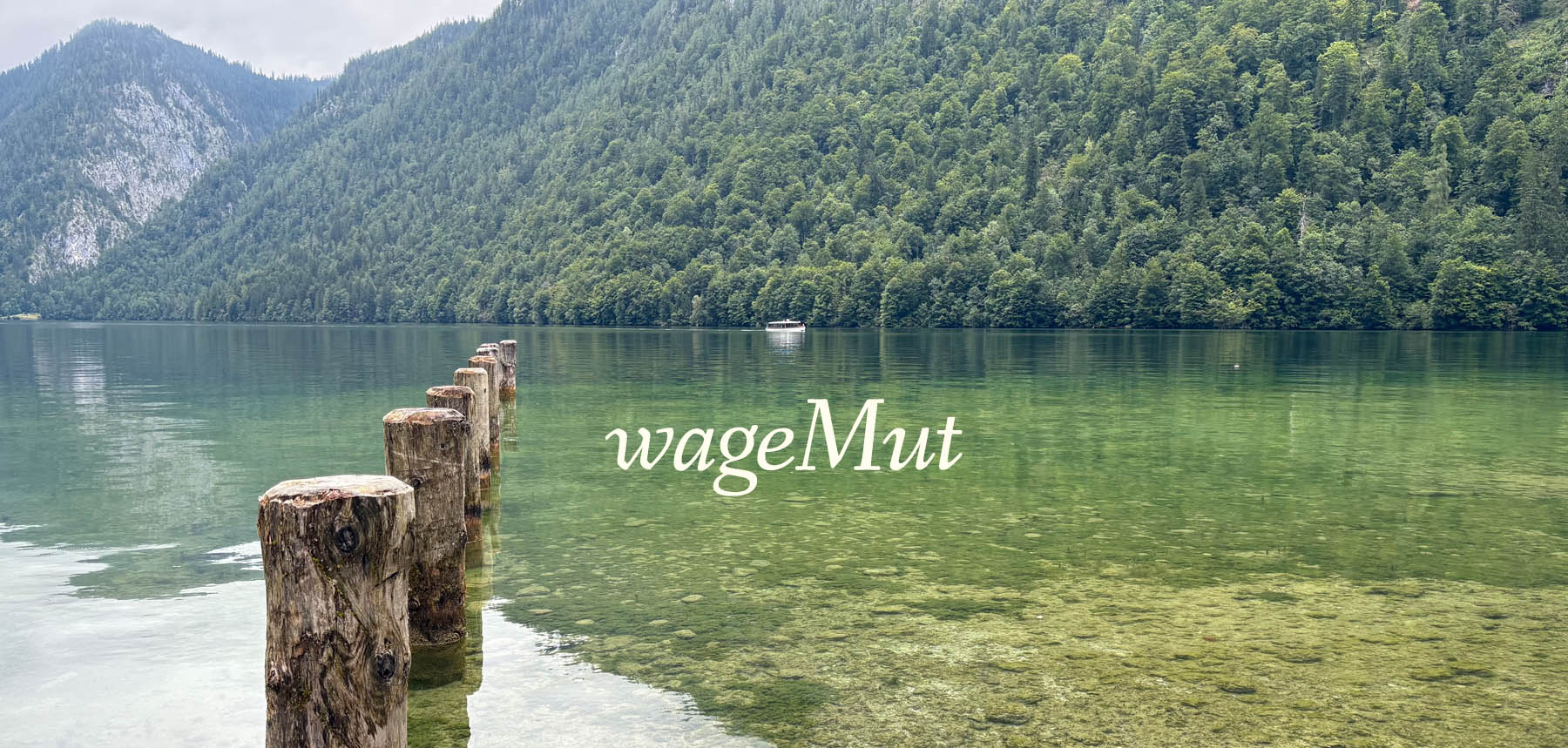 Alte Holzpfähle im Königsee