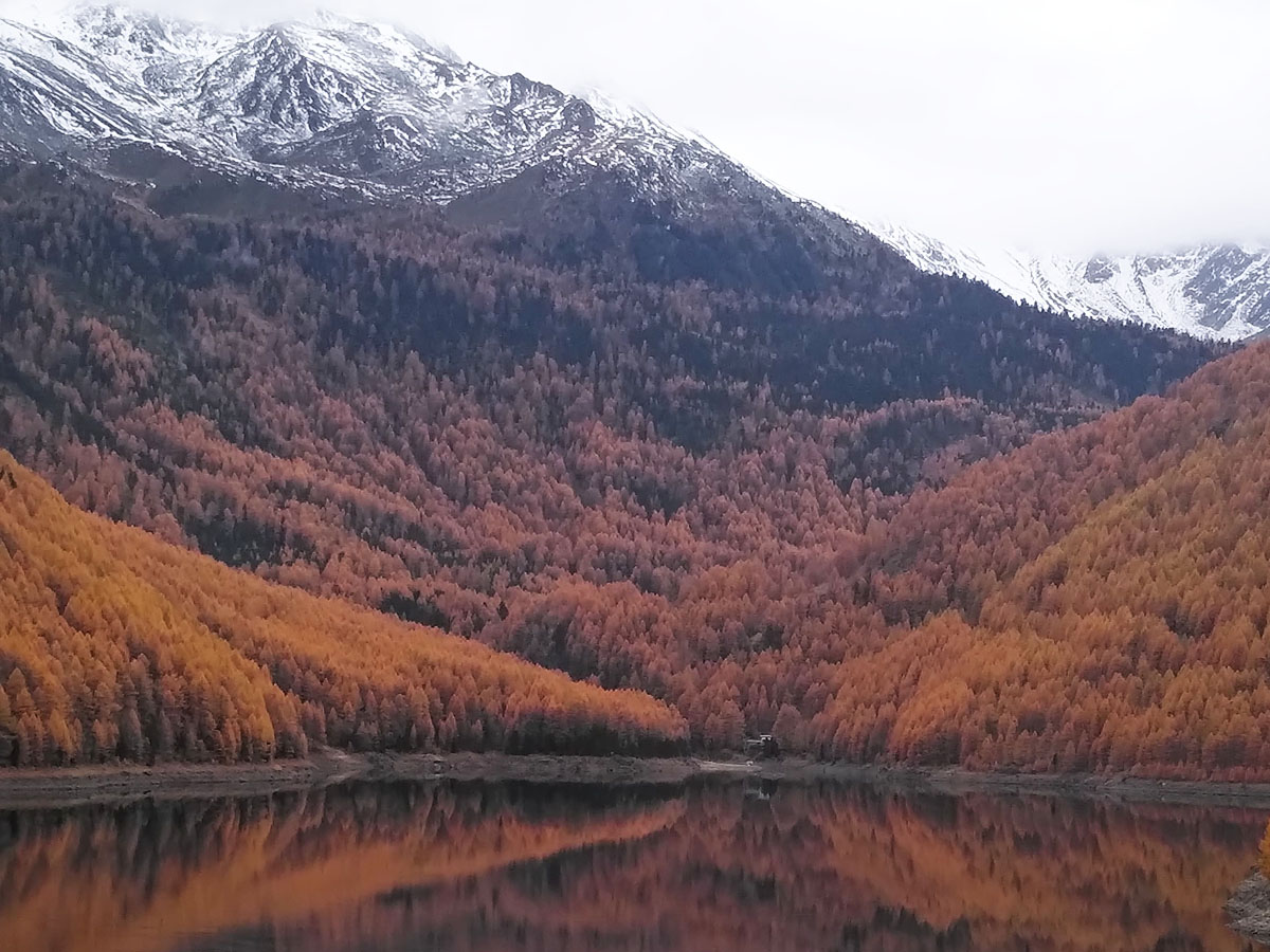 Bergsee mit bewaldetem Berg der sich im Wasser spiegelt
